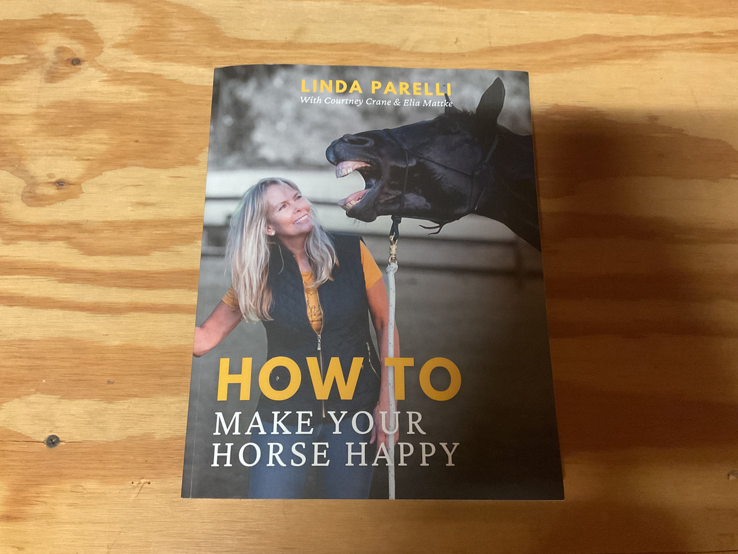 “How to Make Your Horse Happy”