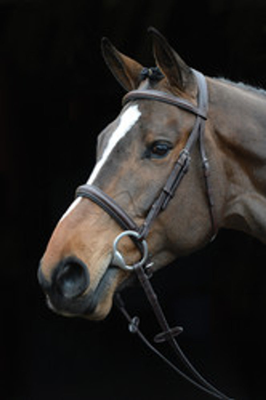 Collegiate Comfort Crown Padded Raised Cavesson Bridle