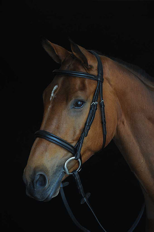 Horses, Bridon pour Monte Anglaise, Modèle Snaffle, en Cuir Horses, Bridon pour Monte Anglaise, Modèle Snaffle, en Cuir