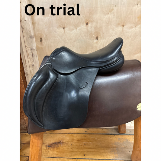 Loxley by Bliss Jump Saddle-Black-18”-Medium Wide