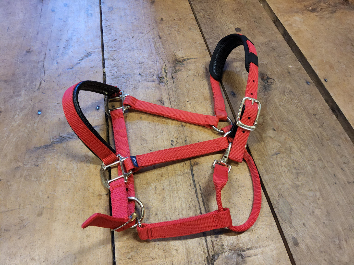 Shires Nylon Halter- Red