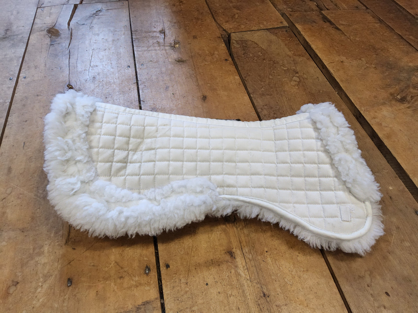 Shires 1/2 Pad- White